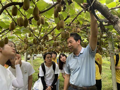 贵大杨老师吃瓜,揭秘贵大校园里的“瓜田”风云