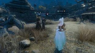 仲夏绮梦逆水寒吃瓜,揭秘游戏中的吃瓜风云