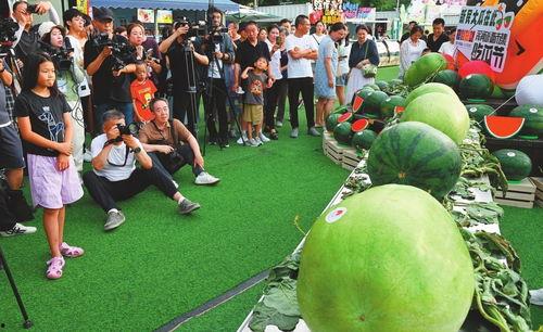 吃瓜联合,揭秘娱乐圈背后的那些事儿